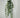 Direct Export Henna Hanging Bush 22” - Artificial Non-Flowering Plants Silk