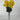 Fortune Mini Pompom Bush Yellow 19” - Silk