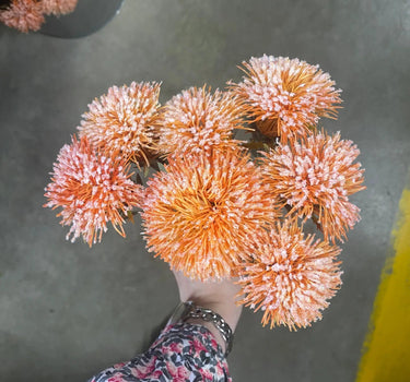 Le Fleur Thistle Bundle Orange 14.5" - Silk