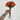 Le Fleur Rose Bundle Peach 12" - Uncategorized Silk