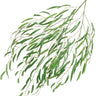 Greenhouse International Weeping Willow Spray 46" - Silk