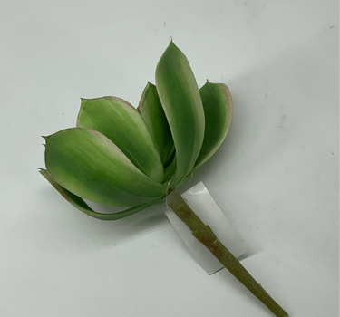 Supreme Succulent Saucer Green-Pink Pick - Uncategorized Silk