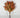 Direct Export Eucalyptus Bundle Coral 15" - Uncategorized Silk