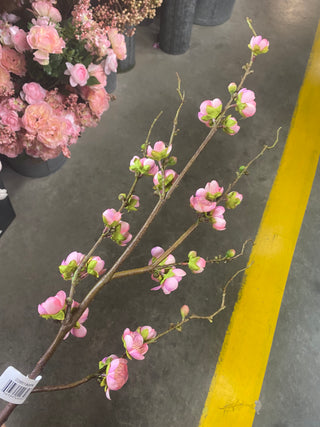 35" Plum Blossom Branch PK