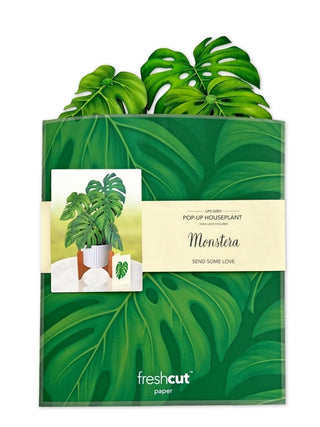 Monstera Pop-Up Greeting Card