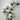 Supreme Dogwood Spray White 40" - Uncategorized Silk