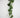 Puff Pothos Garland 6'