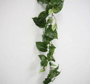 Puff Pothos Garland 6'