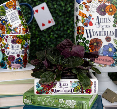 Alice/Wind in the Willows/The Secret Stacked Books Planter
