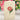 FreshCut Paper LLC Mini Dear Dahlia Pop-Up Greeting Card - Greeting Cards Merchandise