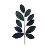 Melrose Velvet Leaf Spray Green 25" - Artificial Non-Flowering Plants Silk