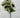 Fortune Sunflower Bush Cream - Uncategorized Silk