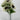 Fortune Sunflower Bush Cream - Uncategorized Silk