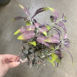 14" Eucalyptus/Sage Bush