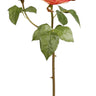 Winward English Cambridge Rose Spray Peach-Red 19'' - Artificial Flowering Plants Silk