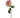 Winward Full, Open Dutchess Rose Stem Pink 20" - Uncategorized Silk