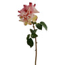 Winward Full, Open Dutchess Rose Stem Pink 20" - Uncategorized Silk