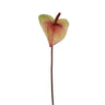 Winward Painter's Palette Anthurium Stem Coral 22" - Artificial Non-Flowering Plants Silk