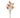 Winward Kangaroo Paw Spray Brown-Orange 30.5'' - Artificial Flowering Plants Silk
