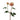Winward Dahlia Spray Peach Pink 20'' - Artificial Flowering Plants Silk