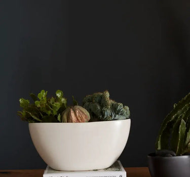 White Metta Boat Bowl 11.25" x 4.75" x 5.25"