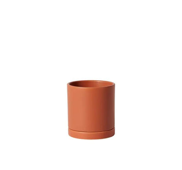 Romey Terracotta Pot with Saucer 4.25"x 4.75"