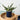 Accent Decor Dark Blue Romey Pot with Saucer 4.25" x 4.75" - Pots Merchandise