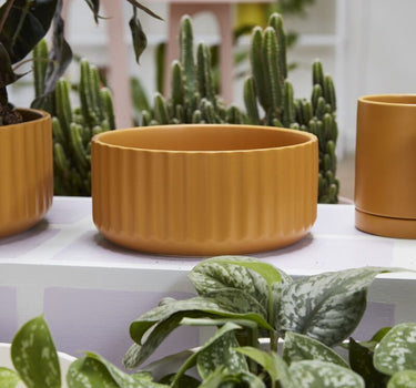 Ochre Beam Bowl 8" x 3.5"