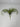 Supreme Air Grass Plant Green - Uncategorized Silk
