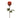 99808.OR