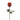 99808.OR