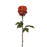 99808.OR