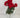 Direct Export UV Geranium Bush Red 24" - Artificial Flowering Plants Silk