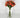 Le Fleur Rose Bundle Peach 12" - Uncategorized Silk