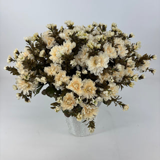 Cream Mum - Potted w/ 2 Bushes