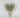 Select Finger Echeveria Dusty Pink 7" - Potted Houseplants Silk