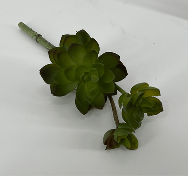 Supreme Succulent Stem 9" - Silk