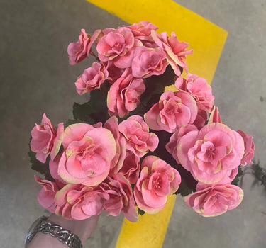 Direct Export Begonia Bush Pink 10" - Artificial Flora Silk