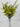 Le Fleur Mini Lily Bush 21" Yellow - Uncategorized Silk