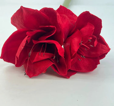 Select Amaryllis Spray Red - Uncategorized Silk