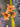Allstate Day Lily Spray Orange 30" - Silk