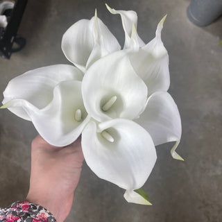 Calla Lily Bundle x9 12" WH