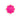 Spongelle Daisy Collection Spongette Bulgarian Rose 1.75Oz - Bath & Body Bath & Body