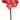 Select Amaryllis Spray Red - 