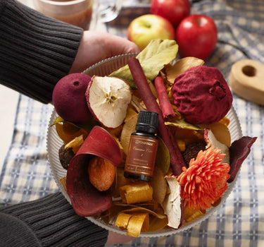 Cinnamon Cider Potpourri Bag by Aromatique with dried red fruit, cinnamon sticks and orange zest.