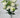 Fortune Carnation Bush Cream 18” - Artificial Flowering Plants Silk