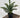 Le Fleur Araucaria Pine Tree in Pot Green 16" - Artificial Trees Silk