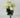 Fortune Mini Pompom Bush Cream - Silk