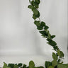 Direct Export Salal Garland - Garlands Silk