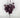 Supreme Eucalyptus Bush Purple 22” - Uncategorized Silk